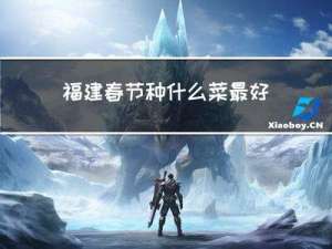 福建春节种什么菜最好
