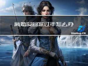 离婚没回家过年怎么办理