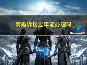 离婚诉讼过年能办理吗