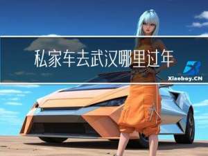 私家车去武汉哪里过年检