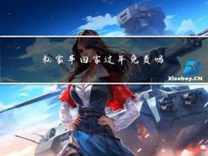 私家车回家过年免费吗吗