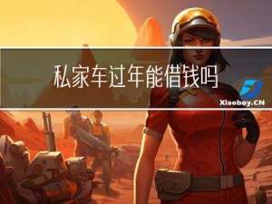 私家车过年能借钱吗