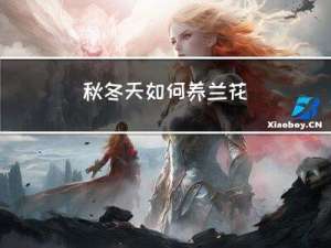 秋冬天如何养兰花