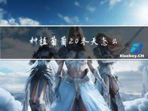 种植葡萄 冬天怎么保暖