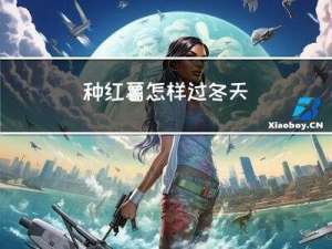 种红薯怎样过冬天
