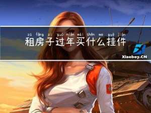 租房子过年买什么挂件