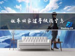 租车回家过年被揭穿怎么办