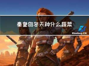 秦皇岛冬天种什么蔬菜最好