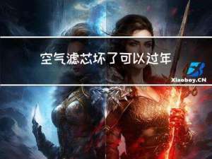 空气滤芯坏了可以过年检吗