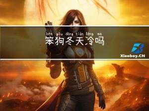 笨狗冬天冷吗