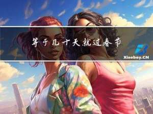 等于几十天就过春节