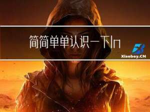 简简单单认识一下Inscode