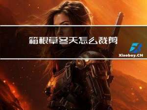 箱根草冬天怎么裁剪