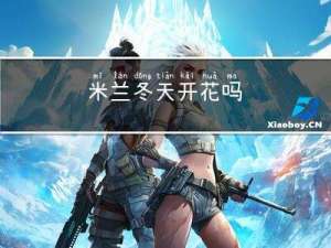 米兰冬天开花吗