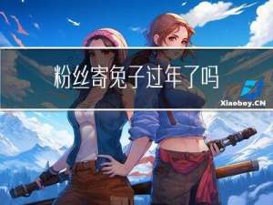粉丝寄兔子过年了吗