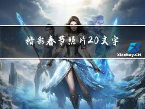 精彩春节照片 文字描述