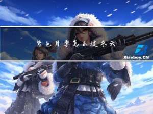 紫色月季怎么过冬天