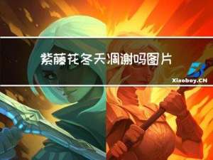 紫藤花冬天凋谢吗图片