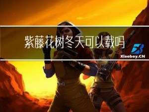 紫藤花树冬天可以载吗