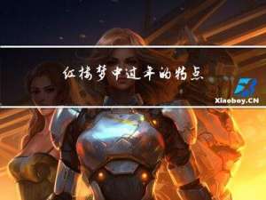 红楼梦中过年的特点