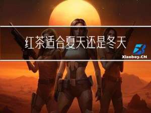 红茶适合夏天还是冬天