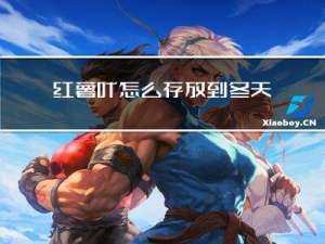 红薯叶怎么存放到冬天