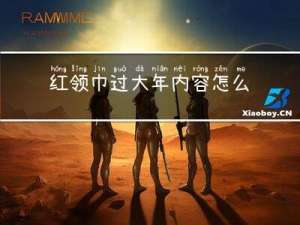 红领巾过大年内容怎么写