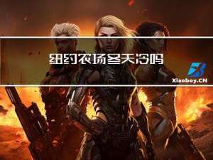 纽约农场冬天冷吗