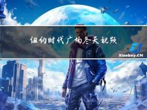 纽约时代广场冬天视频介绍