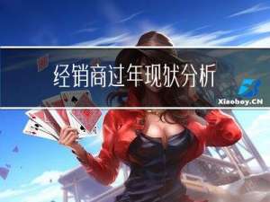 经销商过年现状分析