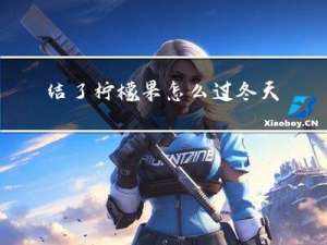 结了柠檬果怎么过冬天