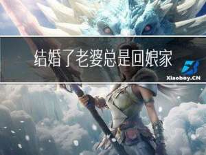 结婚了老婆总是回娘家过年