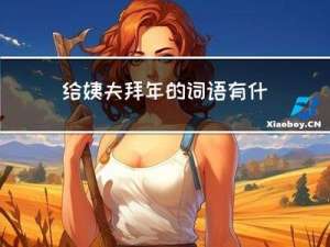 给姨夫拜年的词语有什么