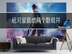 给对象新增两个数组，并分别给对象名称、名字