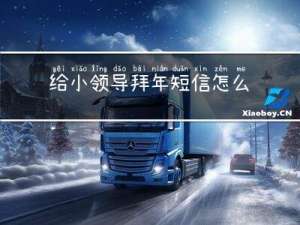 给小领导拜年短信怎么发