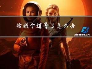 给我个过年了怎么办