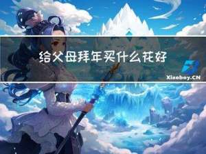 给父母拜年买什么花好一点