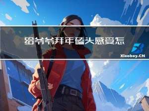 给爷爷拜年磕头感受怎么写