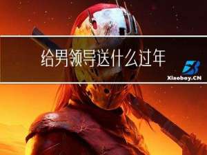 给男领导送什么过年