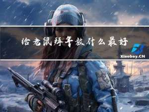 给老鼠拜年放什么最好看