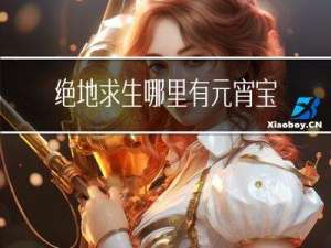 绝地求生哪里有元宵宝箱