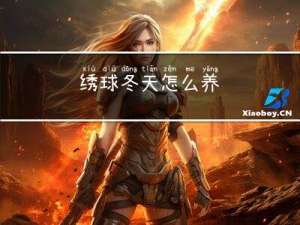 绣球冬天怎么养