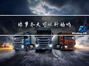 绿萝冬天可以扦插吗