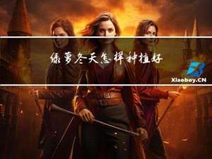 绿萝冬天怎样种植好