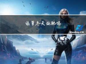 绿萝冬天施肥吗