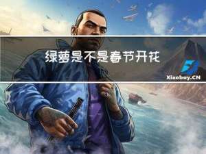 绿萝是不是春节开花