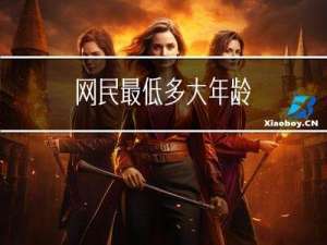网民最低多大年龄