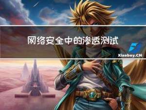 网络安全中的渗透测试主要那几个方面