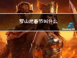 罗山把春节叫什么