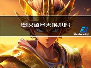 罗汉鱼冬天换水吗